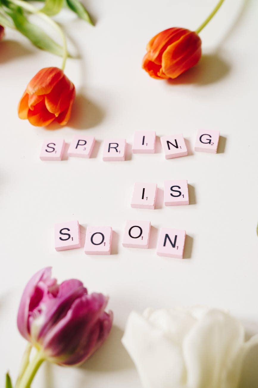 close up photo of spring is soon text.
spring reset markets macro trends